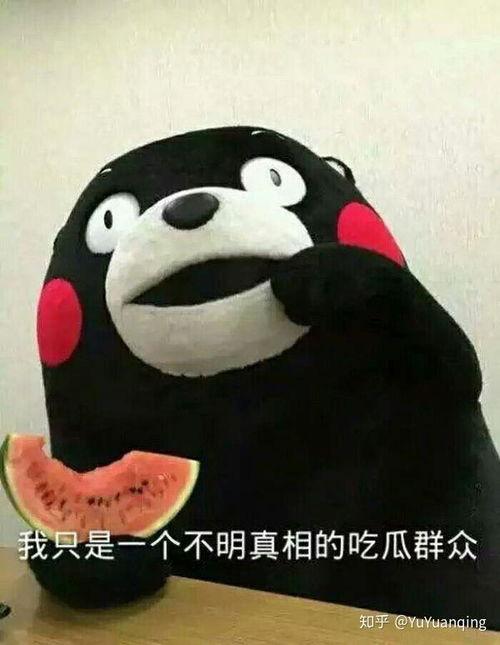 吃闪光瓜群众表情包,闪光瓜群众表情包，解锁欢乐新姿势