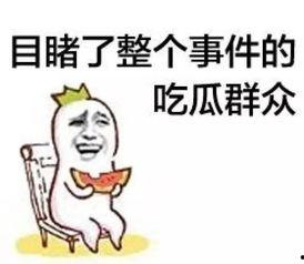 吃瓜群众昊天,揭秘娱乐圈幕后风云