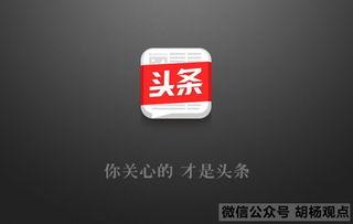 今日头条做什么领域好,哪些领域最具发展潜力？