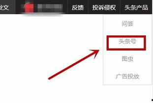 头条怎么在视频加水印,头条教程详解