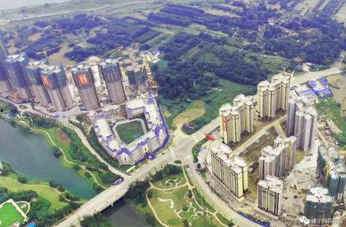 蓬溪金桥新区新闻头条,聚焦发展新篇章，共绘区域繁荣蓝图