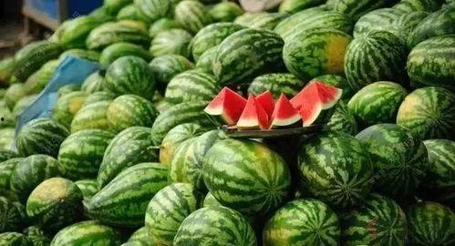 家长们吃瓜,揭秘娱乐圈幕后故事