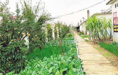 息县东岳网红村,古韵新潮，魅力乡村的蜕变之旅