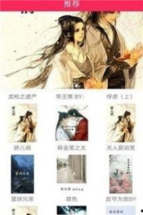 穿越日本当网红小说,日本网红奇遇记