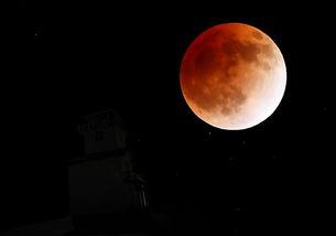 网红月暖,网红的温暖力量，点亮生活点滴