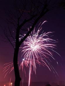 合肥烟花爆料视频,璀璨光影，记录城市璀璨瞬间