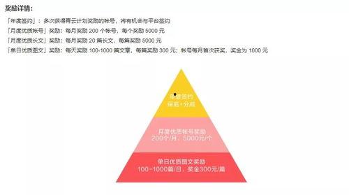 头条青云奖怎么得,如何脱颖而出，斩获行业殊荣