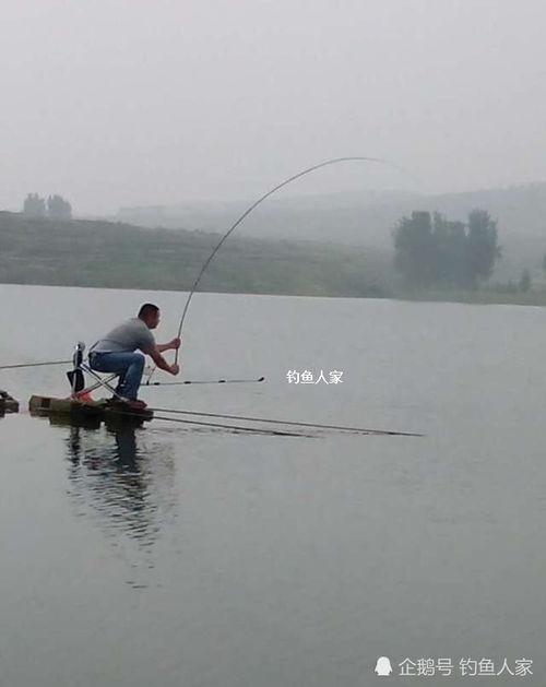 钓鱼人爆料视频,真实水下世界，惊心动魄的捕鱼瞬间