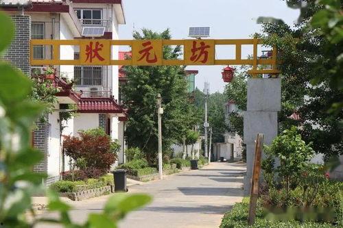 蒙城农村网红打卡地,网红打卡地的田园诗篇