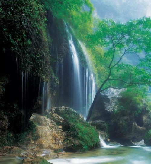 云台山吃瓜比赛,一场别开生面的吃瓜比赛狂欢